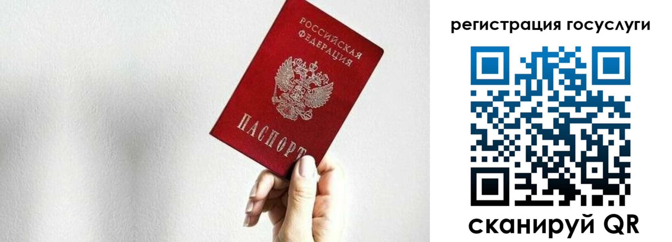 прописка гарантия в Долинске